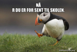 Unpopular Opinion Puffin