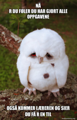Sad Owl