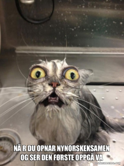 Cat bath