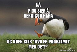 Unpopular Opinion Puffin