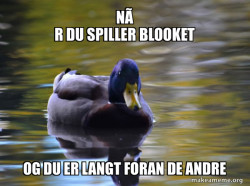 Zen Advice Mallard