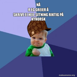 Scumbag Success Kid