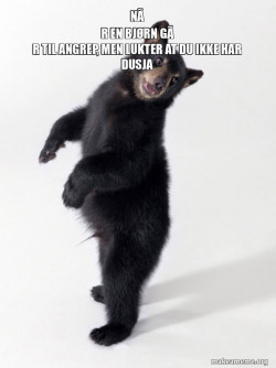 Super Bear'd