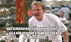 Gordon Ramsay Hell's Kitchen