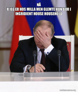 Putin Facepalm
