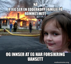 Disaster Girl