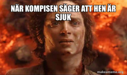 Frodo it's over it's done