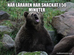 Sarcastic Bear
