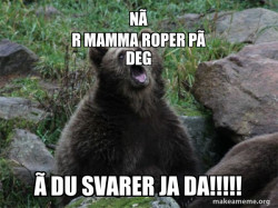 Sarcastic Bear