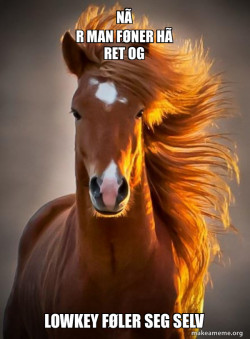 Ridiculously photogenic horse