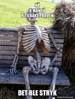Waiting Skeleton