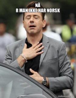 Tony Stark Relief
