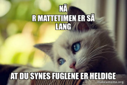 First World Cat Problems