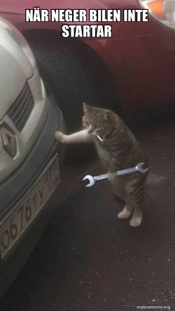Mechanic Cat