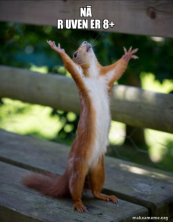 Happy Squirrel