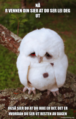 Sad Owl