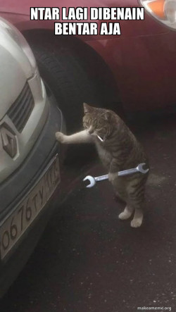 Mechanic Cat