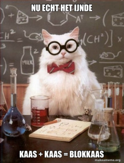Chemistry Cat