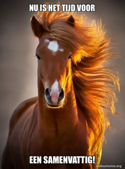 Ridiculously photogenic horse
