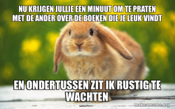 Regretful Rabbit
