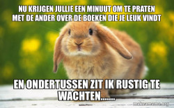 Regretful Rabbit