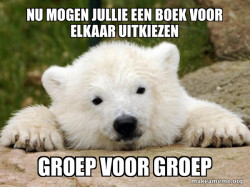 Popular Opinion Bear