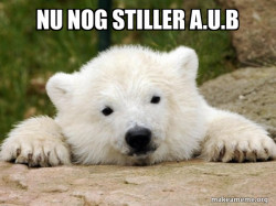 Popular Opinion Bear