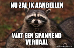 Evil Plotting Raccoon
