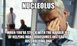 Male First World Problems