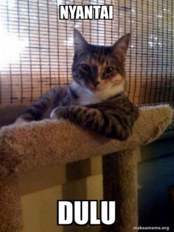 The Most Interesting Cat in the WorldBro