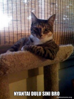 The Most Interesting Cat in the World