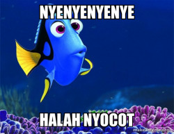 Dory from Nemo  (5 second memory)