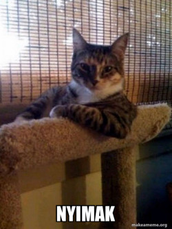 The Most Interesting Cat in the World