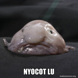 Blobfish
