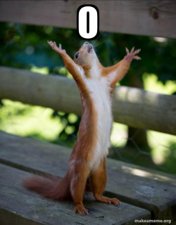 Happy Squirrel