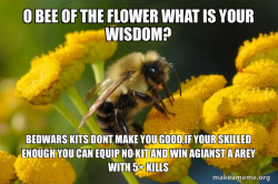 Good Guy Bee