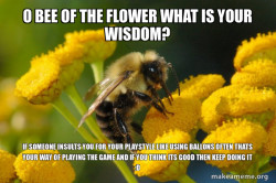 Good Guy Bee