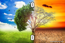 Climate Change / Global Warming