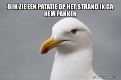 Stuff That Didn't Happen Seagull