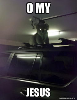 Drop Bear