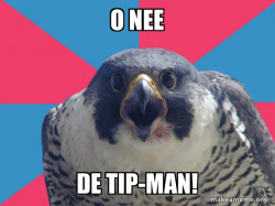 Millennial Falcon