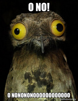 Weird Stuff I do Potoo