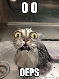 Cat bath