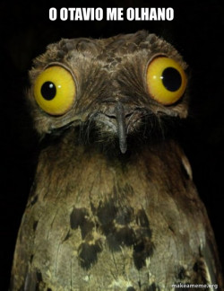 Weird Stuff I do Potoo