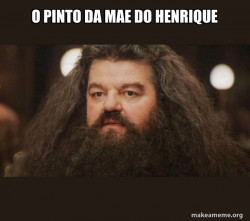 Hagrid - I should not have said that