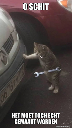 Mechanic Cat