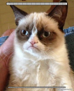 Grumpy Cat