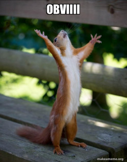 Happy Squirrel