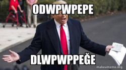 Trump - Impeachment Quid Pro Quo