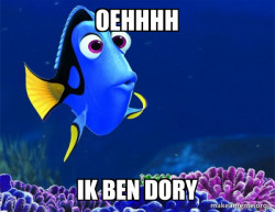 Dory from Nemo  (5 second memory)